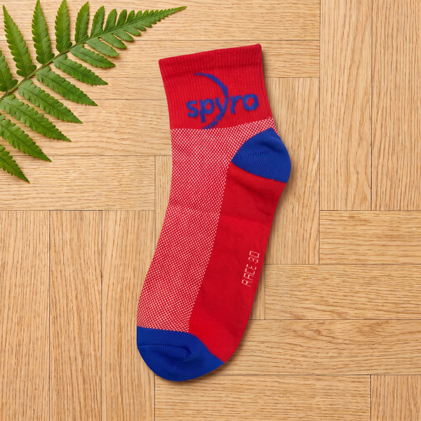 Color Block Ankle Socks