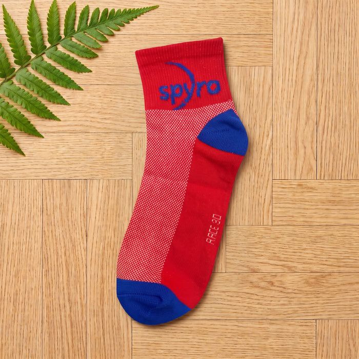 Color Block Ankle Socks
